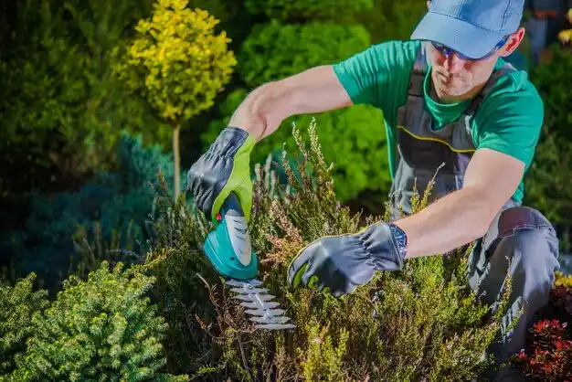 landscaping services Mexico
